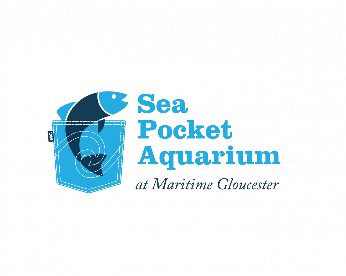 Sea Pocket Aquarium